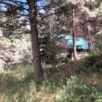 Tiny Cabin Borders NF images 5
