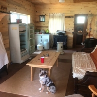 Tiny Cabin Borders NF images 6