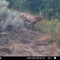 Jack Ranch images 2