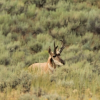Jack Ranch images 3
