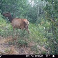 Jack Ranch images 4