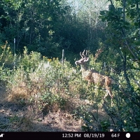 Jack Ranch images 5