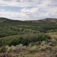 Jack Ranch images 6