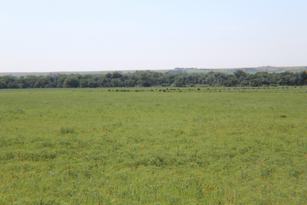 Sedgwick County CRP featured image