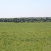 Sedgwick County CRP images 1