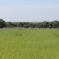 Sedgwick County CRP images 5