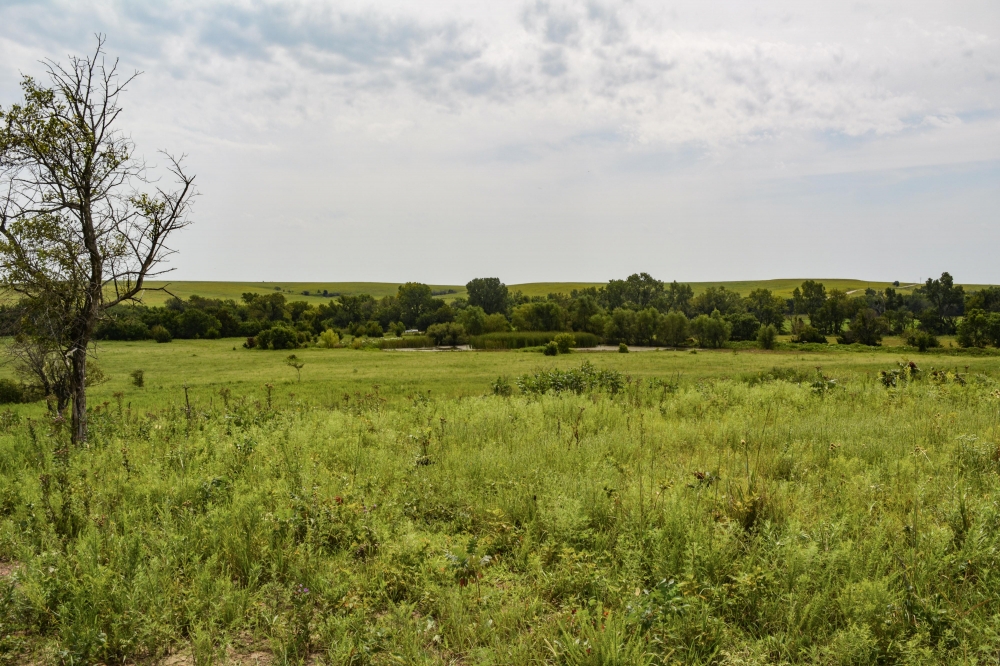 Greenwood County Ducks  amp  Bucks Retreat featured image