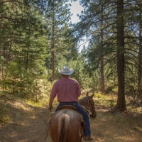 Foley Butte Ranch images 2