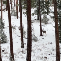 Foley Butte Ranch images 6