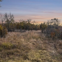 80 Acres South of Tulsa images 5