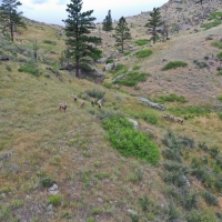 Poudre River Frontage  amp  Home images 6