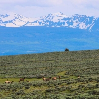 Powderhorn Ranch images 2