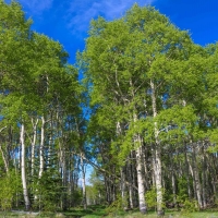 Powderhorn Ranch images 3