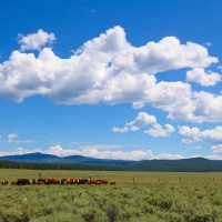 Powderhorn Ranch images 6