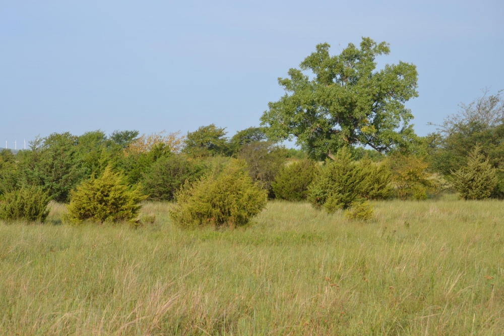 Two D Ranch and Recreation featured image