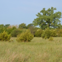 Two D Ranch and Recreation