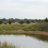 Two D Ranch and Recreation images 5