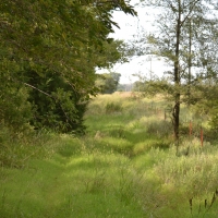 Two D Ranch and Recreation images 6