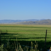 Buckeye Ranch images 2