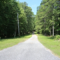 Beautiful Home-Farm-Timberland-Hunting images 5