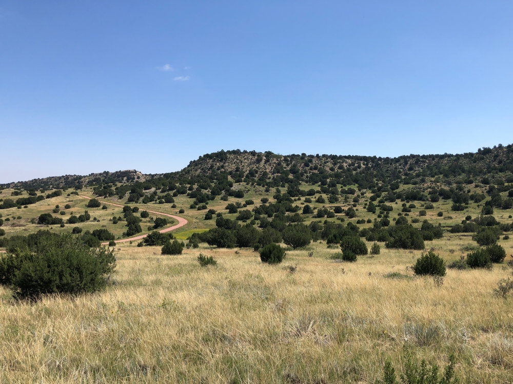 Pope Valley Ranch 24 featured image