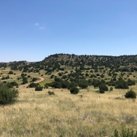 Pope Valley Ranch 24