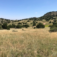 Pope Valley Ranch 24 images 3