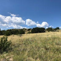 Pope Valley Ranch 24 images 4
