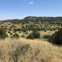 Pope Valley Ranch 24 images 5