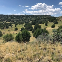 Pope Valley Ranch 24 images 6