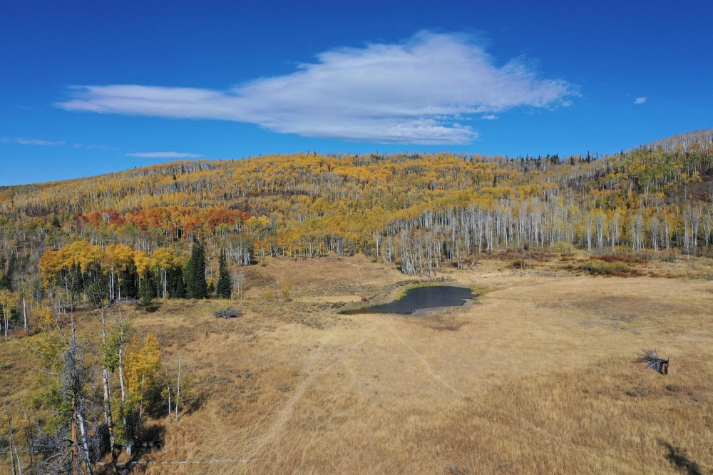 Victoria Ranch featured image