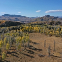 Victoria Ranch images 2