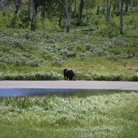 Victoria Ranch images 3