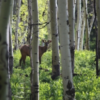 Victoria Ranch images 4