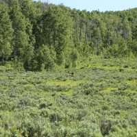 Victoria Ranch images 5