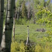 Victoria Ranch images 6