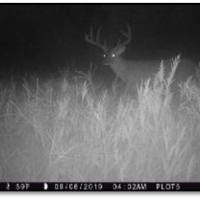 172.3 Acres in Madison County  MS in Camden  MS images 2