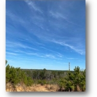 172.3 Acres in Madison County  MS in Camden  MS images 4