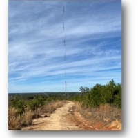 172.3 Acres in Madison County  MS in Camden  MS images 5