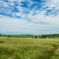 X-Mile Ranch images 2