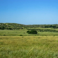 X-Mile Ranch images 3