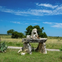 X-Mile Ranch images 5