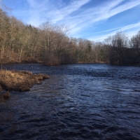 17 acres with Salmon River access Richland NY images 6