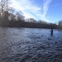 17 acres with Salmon River access Richland NY images 3