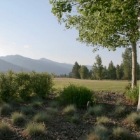 Kootenai Springs Ranch images 6