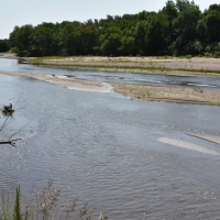 South Platte Waterfowl and Wildlife images 2