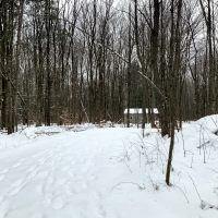6 acres Starter Camp Florence NY images 2