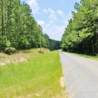 54 Acres Waterfront Timber Land for Sale Wayne County  MS images 2