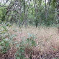 30 Day Lease for Single Hunter