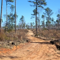 Great Recreational and Hunting Property images 2